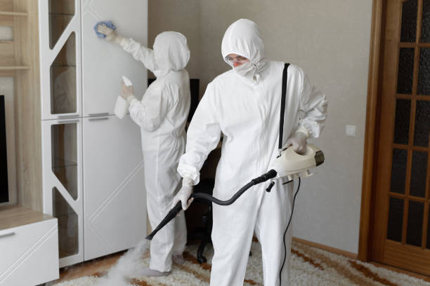 Best Post-Flood Mold Remediation in Idyllwild Pine Cove, CA